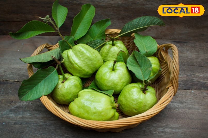 ठंड में अमरूद की डिमांड सबसे अधिक रहती है जो लोग प्रतिदिन इसका सेवन करते हैं उनके प्रकार के फायदे मिलते हैं