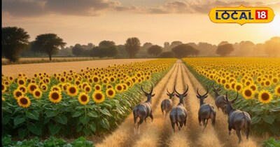 प्रतीकात्मक