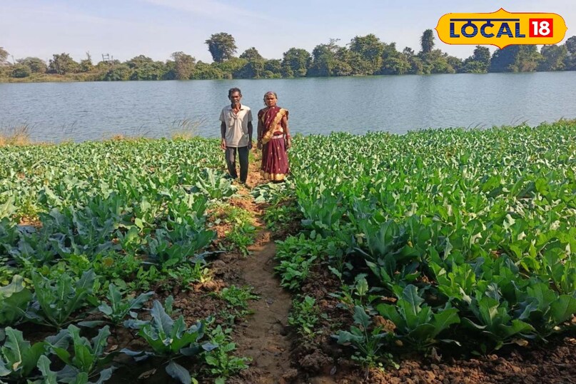प्राकृतिक खेती से सशक्त हुआ बुजुर्ग दंपती