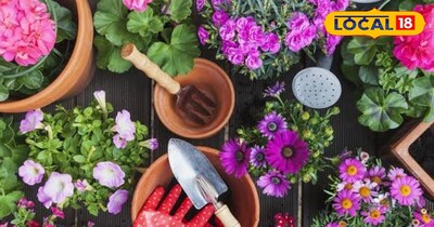 गार्डनिंग.