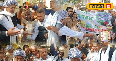 गधे को गुलाब जामुन 