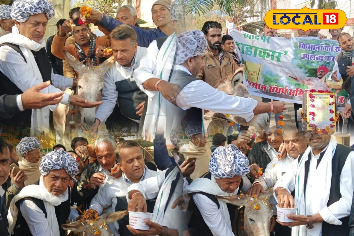 गांधी जी देखते तो क्या कहते किसानों ने विरोध में गधे को खिलाया गुलाब जामुन