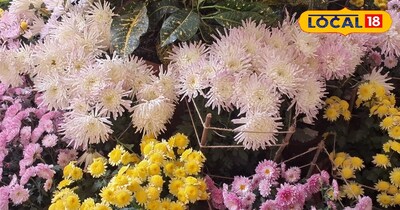 पांच फूल