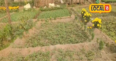 खेत की तस्वीर