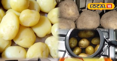 आलू पर धब्बे