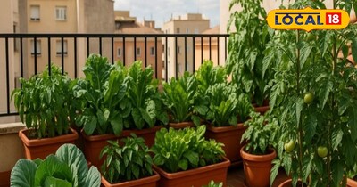 घर के गमले मे ही उगाये ये पांच साग
