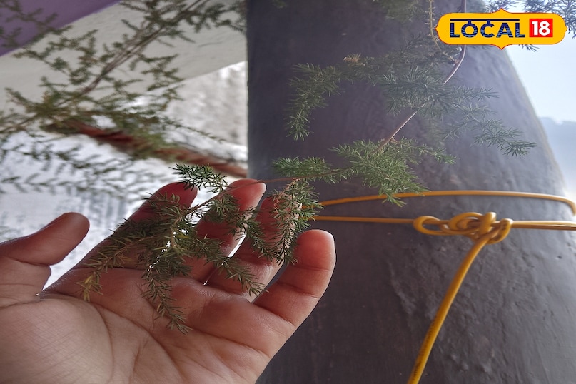 it will protect from evil eye 