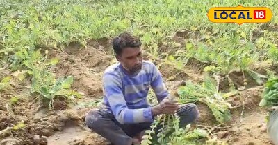 सिर्फ e-KYC से नहीं चलेगा काम, ये आईडी बनवाना जरूरी!