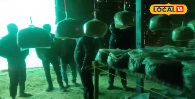 झोपड़ी में तैयार होता मशरूम 