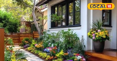 घर पर लगाएं ये सारे फूल