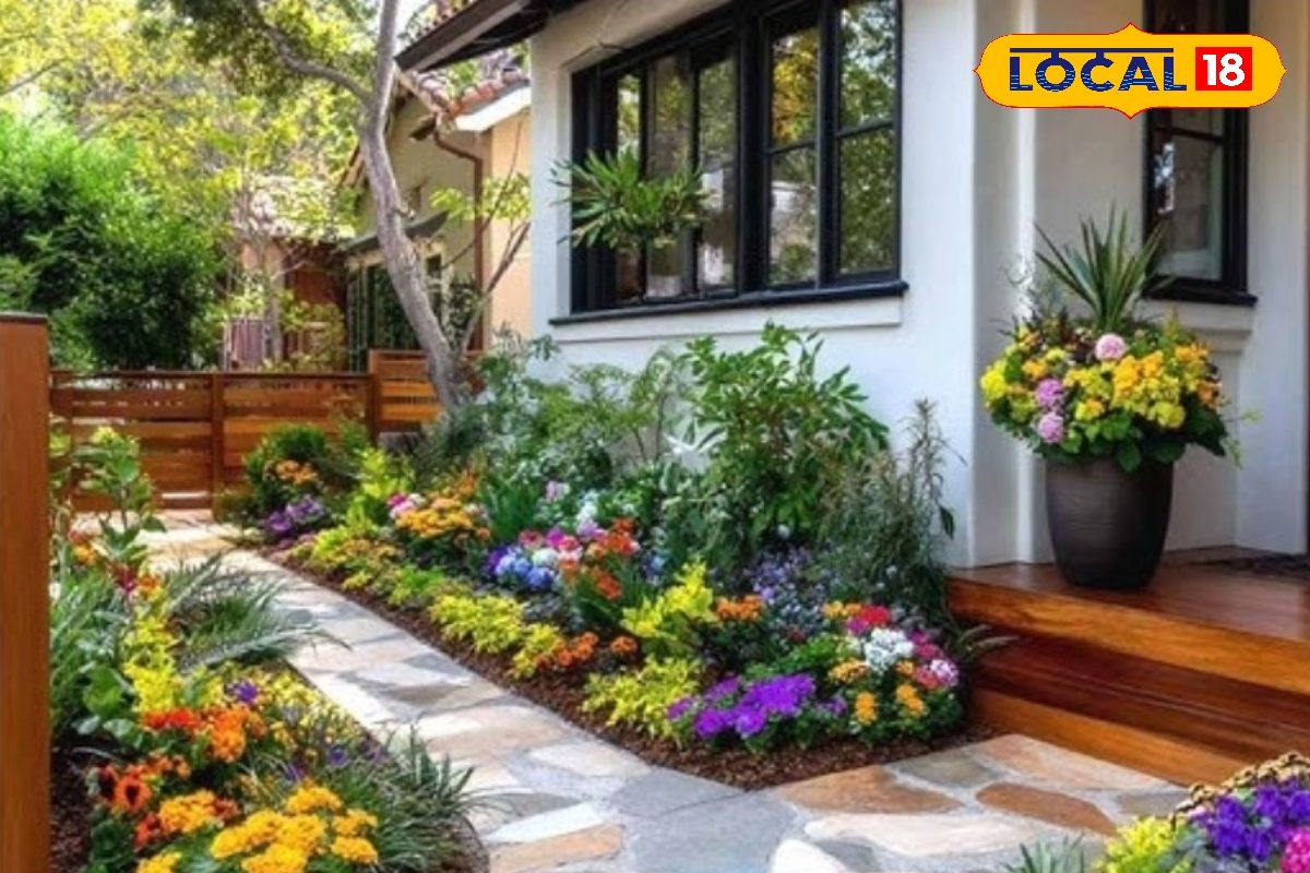 Gardening Tips: सर्दियों में गार्डन में लगा दें ये 5 फूलों के पौधे, महक उठेगा पूरा आंगन