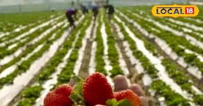 प्रतीकात्मक