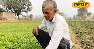 Mixed farming, vegetables, together, done before ,Holi, Malamal