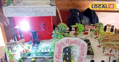 वंशिका का प्रोजेक्ट दिलाएगा 'डबल मुनाफा', सौर ऊर्जा और रेन वाटर हार्वेस्टिंग का संगम.