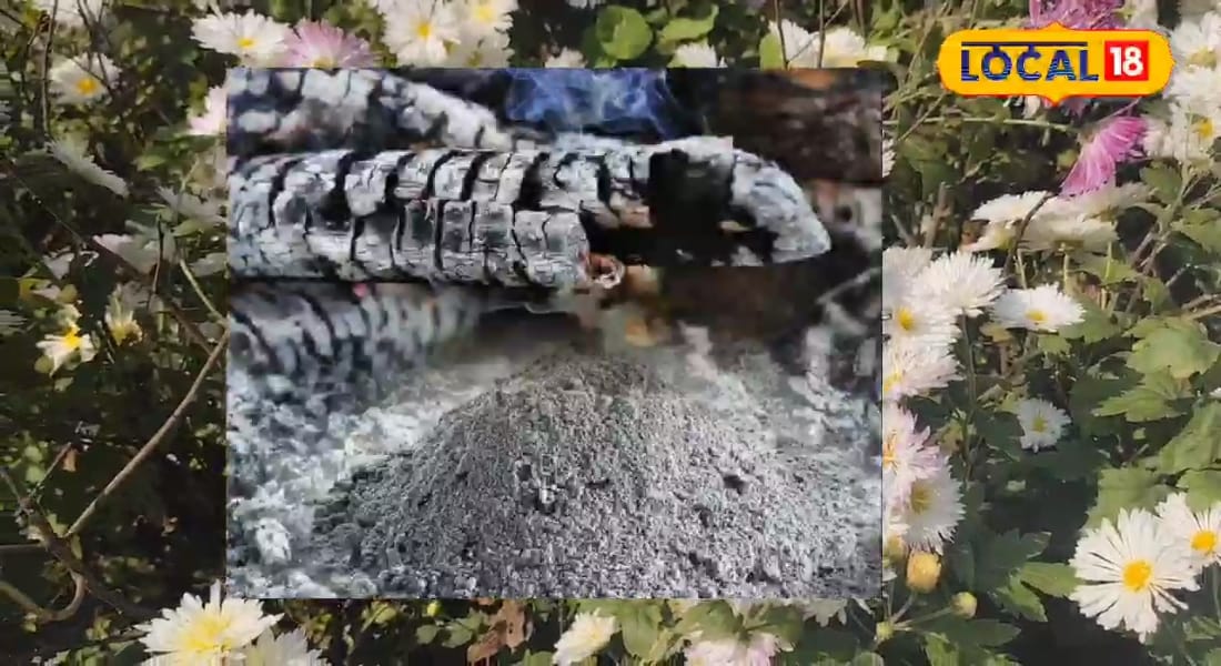 गार्डनिंग टिप्सः बगिया में नहीं आ रहे फूल मिट्टी में मिलाएं बस दो चम्मच खिल उठेंगे मुरझाए हुए पौधे