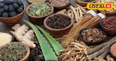 सूखी ठंडी से बचाव के लिए अपनाएं आयुर्वेद, रहें पूरे मौसम स्वस्थ