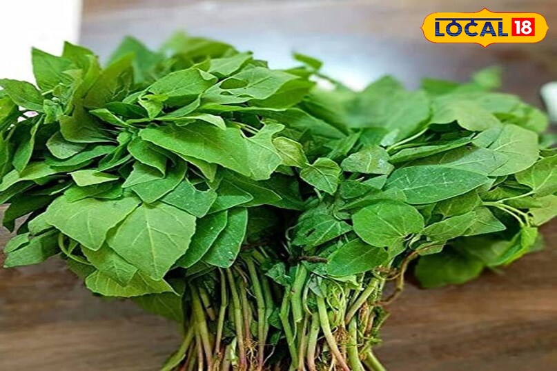 bathua and aayurveda bathua and aayurveda