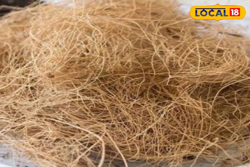 नारियल का छिलका