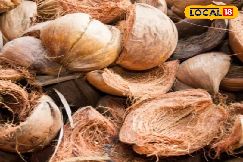 नारियल का छिलका