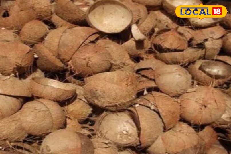 नारियल का छिलका