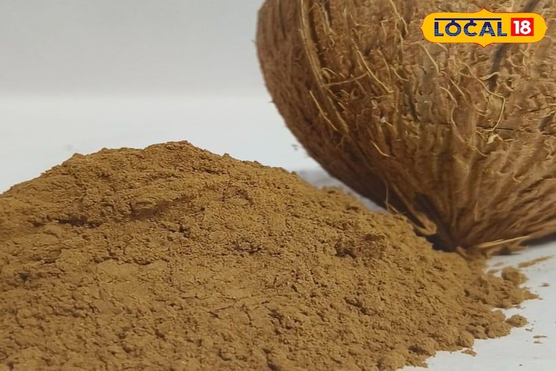 नारियल का छिलका