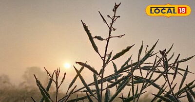 राजस्थान में सर्दी का अलर्ट 