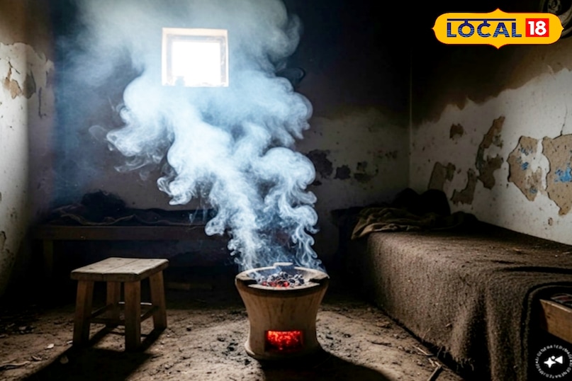 fire plant fire plant