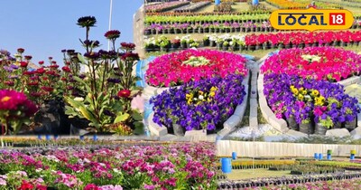 फ्लॉवर शो के पौधे