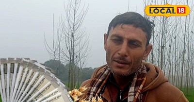 कम खर्च, तगड़ी पैदावार, गेहूं की इस खेती से किसान बना लाखों का मालिक