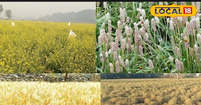 अगेती खेती