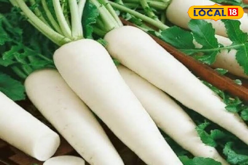 उन्होंने कहा कि कद्दूकस की हुई मूली से बना भरवां पराठा स्वाद के साथ सेहत भी देता है. वहीं मूली को क्यूब्स में काटकर जैतून के तेल और लहसुन के साथ भूनने से इसका स्वाद और पाचन दोनों बेहतर हो जाते हैं. 