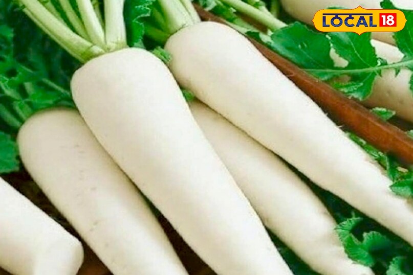 उन्होंने कहा कि अगर आप कच्ची मूली खाना पसंद करते हैं, तो इसे खीरा और गाजर के साथ पतले स्लाइस में मिलाएं. ऊपर से नींबू का रस, जैतून का तेल और थोड़ा शहद डालें. तिल और ताजा अदरक मिलाने से स्वाद बढ़ता है और पाचन भी बेहतर रहता है.