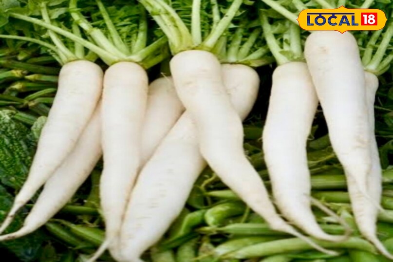 उन्होंने कहा कि मूली को स्टीम करने या हल्का भूनने से इसका फाइबर नरम हो जाता है और पाचन आसान होता है। पकाने से मूली का तीखा स्वाद भी कम होकर हल्का और मीठा हो जाता है. यह तरीका गैस की समस्या को कम करने में मददगार साबित होता है.