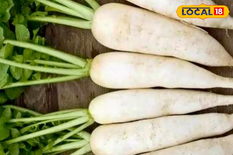 आयुर्वेद के जानकर शिव कुमार पांडे ने बताया कि मूली सेहत के लिए फायदेमंद है, लेकिन कई लोगों को इसे खाने के बाद गैस, पेट फूलना और असहजता महसूस होती है. इसकी वजह इसमें मौजूद फाइबर और कुछ कॉम्प्लेक्स कार्बोहाइड्रेट्स होते हैं, जिन्हें पचाने में समय लगता है. यही कारण है कि कुछ लोग मूली को अपनी डाइट से बाहर कर देते हैं.