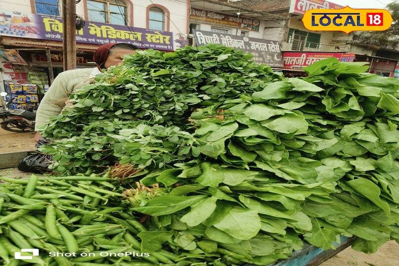 Green vegetables can be kept fresh for a long time