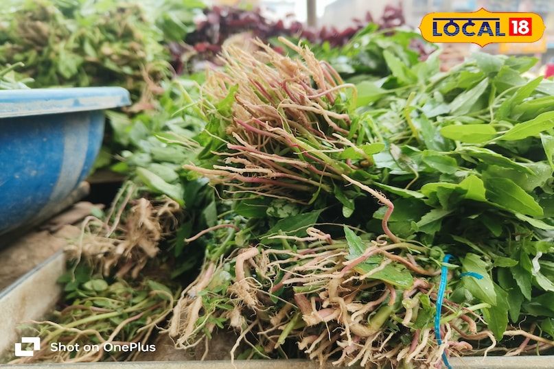 Essential Tips for Hari Vegetables