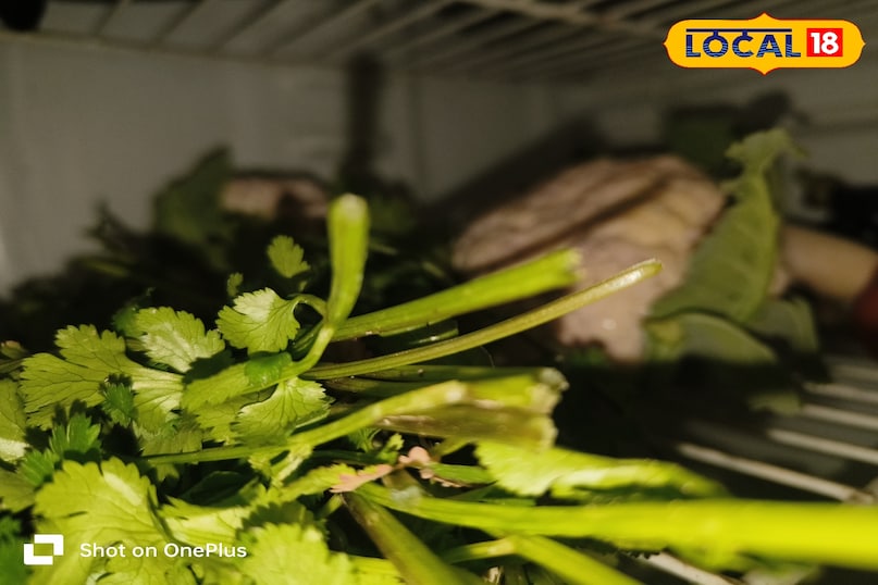 Keep the refrigerator temperature correct.