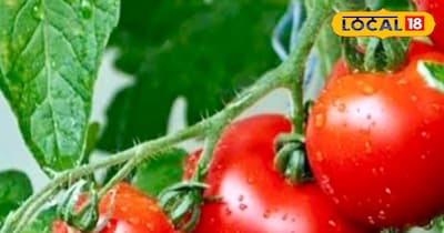 प्रतीकात्मक