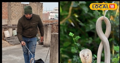 प्रतीकात्मक तस्वीर 