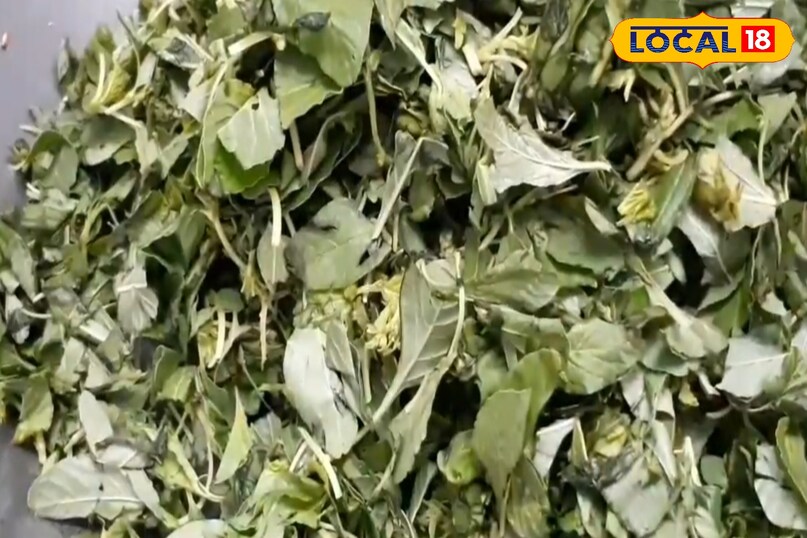 रेसिपी स्पेशल रेसिपी स्पेशल