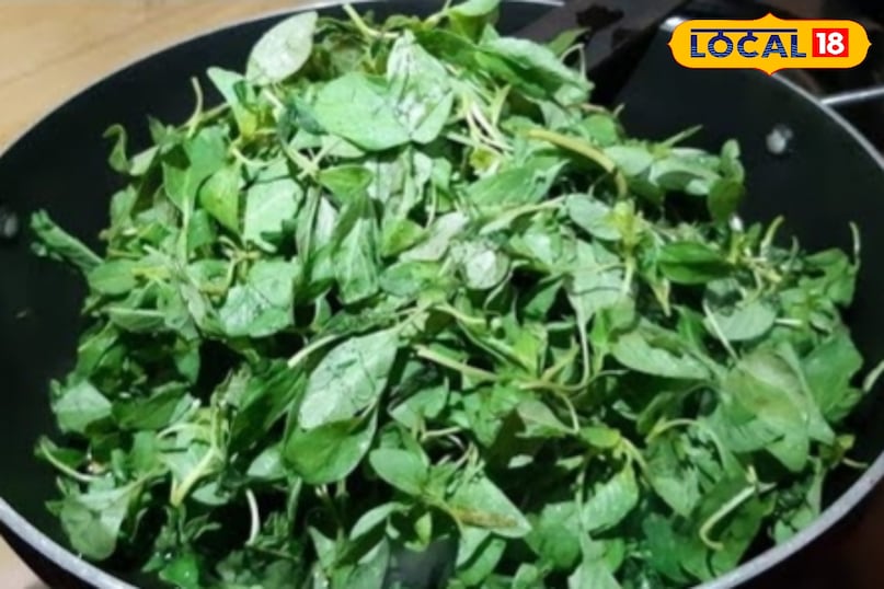 रेसिपी स्पेशल रेसिपी स्पेशल