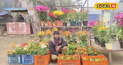 सुंदर और आकर्षक फूलों वाली नर्सरी के साथ विक्रेता.