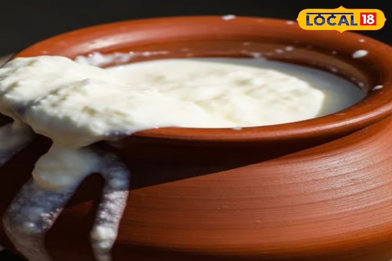 आम की फसल आम की फसल