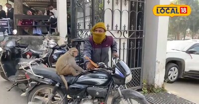 कोर्ट मनकी 