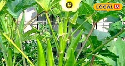 प्रतीकात्मक