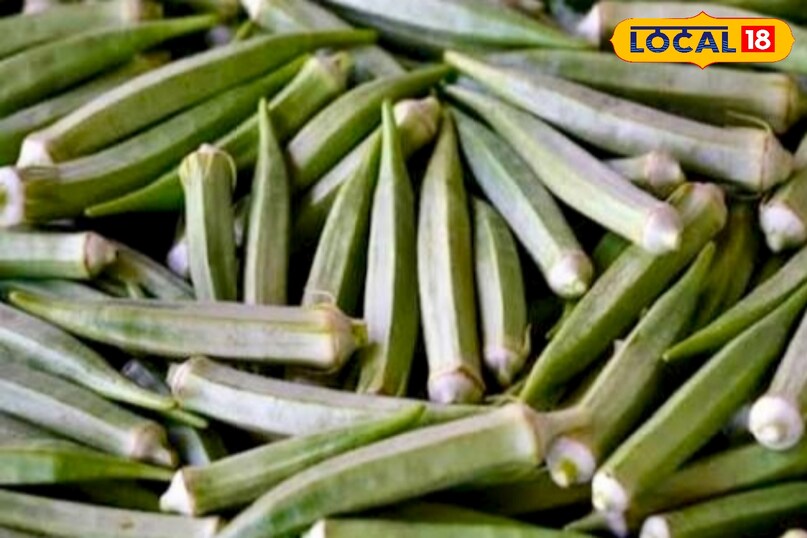 पलामू जिले के के कृषि विशेषज्ञ डॉ० अखिलेश शाह ने बताया कि भिंडी उगाने के लिए बहुत बड़ी जगह की जरूरत नहीं होती. छत, बालकनी या आंगन में रखा 12–15 इंच गहरा और चौड़ा गमला पर्याप्त होता है. गमले के नीचे पानी निकास के लिए छेद होना जरूरी है. 