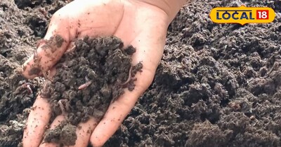 वर्मी कपोस्ट.