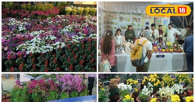 प्रकृति की ओर सोसायटी की प्रदर्शनी