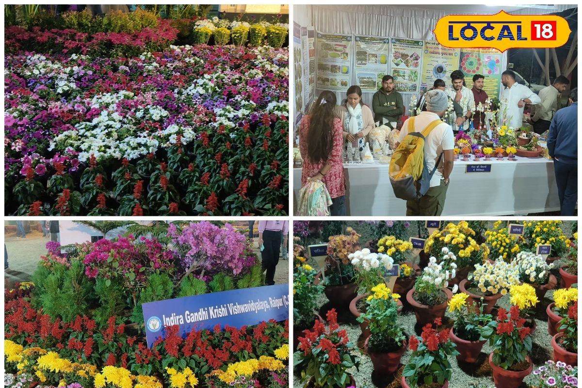 20 से ज्यादा विदेशी फूल, 3 दिन का महोत्सव… गांधी उद्यान में दिखेगी प्रकृति की शान