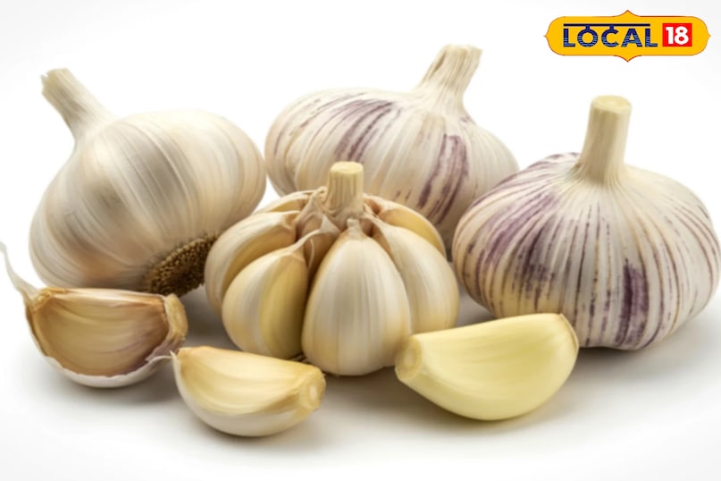 ठंड में रोजाना सीमित मात्रा में लहसुन खाना दिल को स्वस्थ रखने में सहायक होता है।